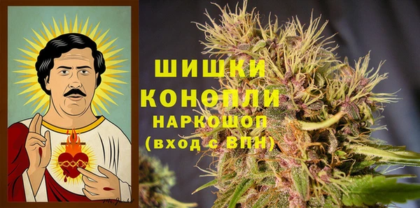 гашик Гусев