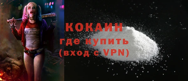 гашик Гусев