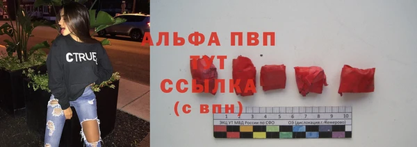 гашик Гусев