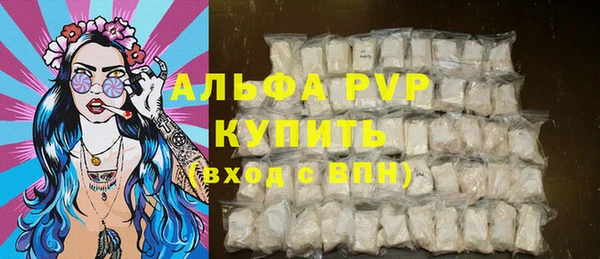 гашик Гусев