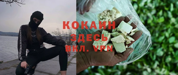 гашик Гусев