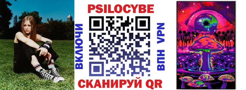 Псилоцибиновые грибы Cubensis  Купить закладки  Называевск 